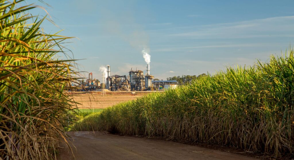 photo of a 2g ethanol biorefinry surrounded by sugarcane fields