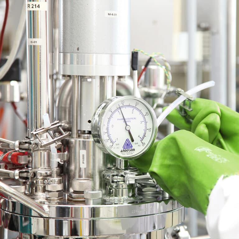 Scaleup of biobased fermentation process Leaf by Lesaffre