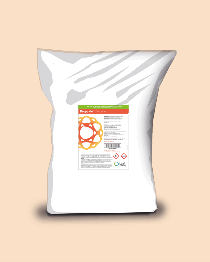 Model of a packaging of Propaide Secure bag product